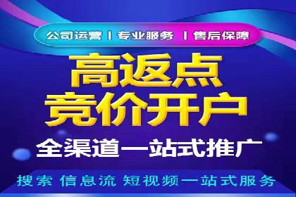 SEM运营推广策略案例分析
